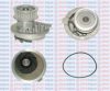 AQUAPLUS 85-3005 Water Pump